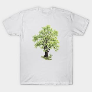 April birthday elm tree T-Shirt